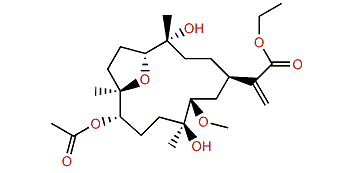 Dendronpholide N